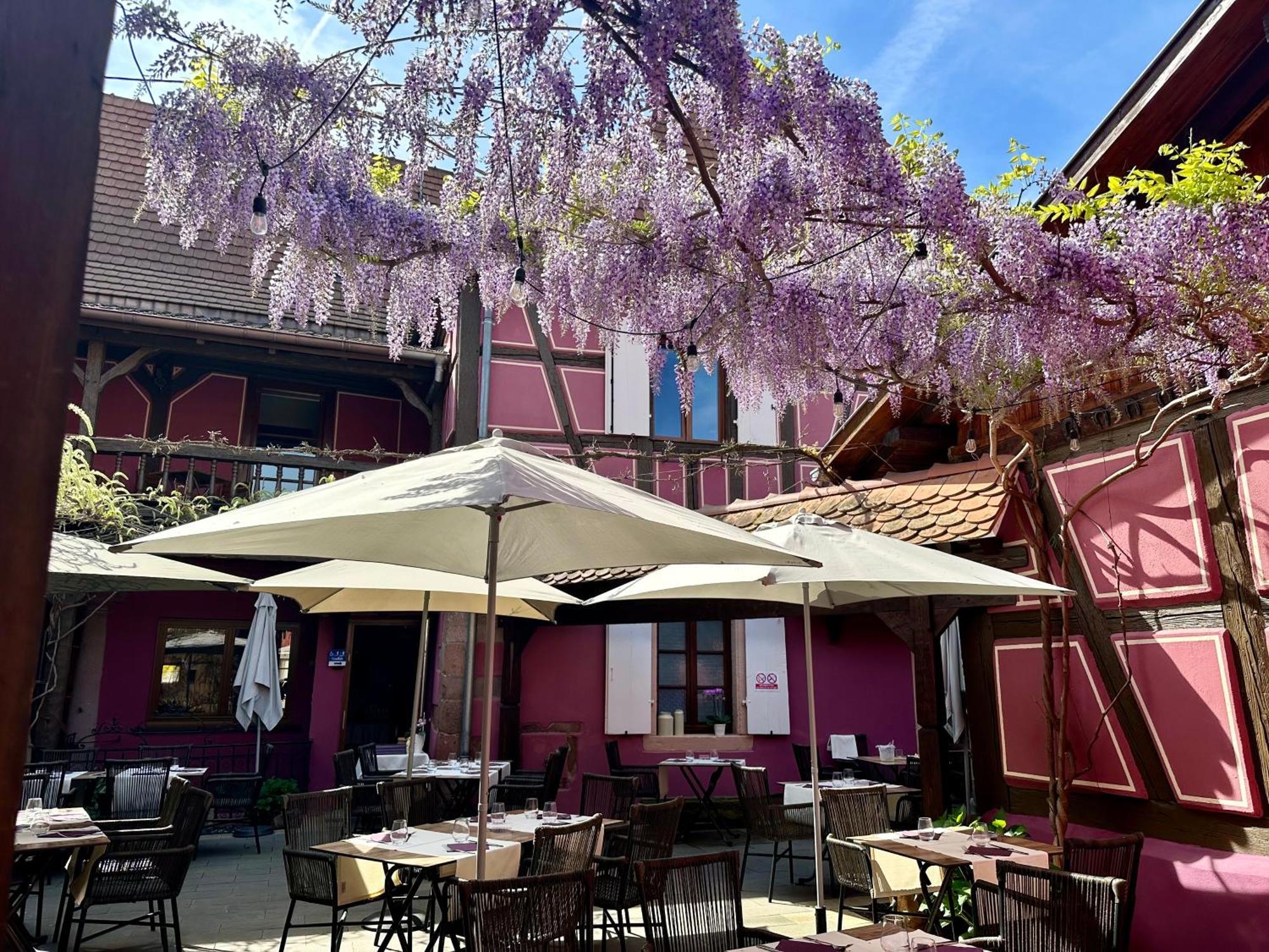 Auberge Le Meisenberg Châtenois Zewnętrze zdjęcie