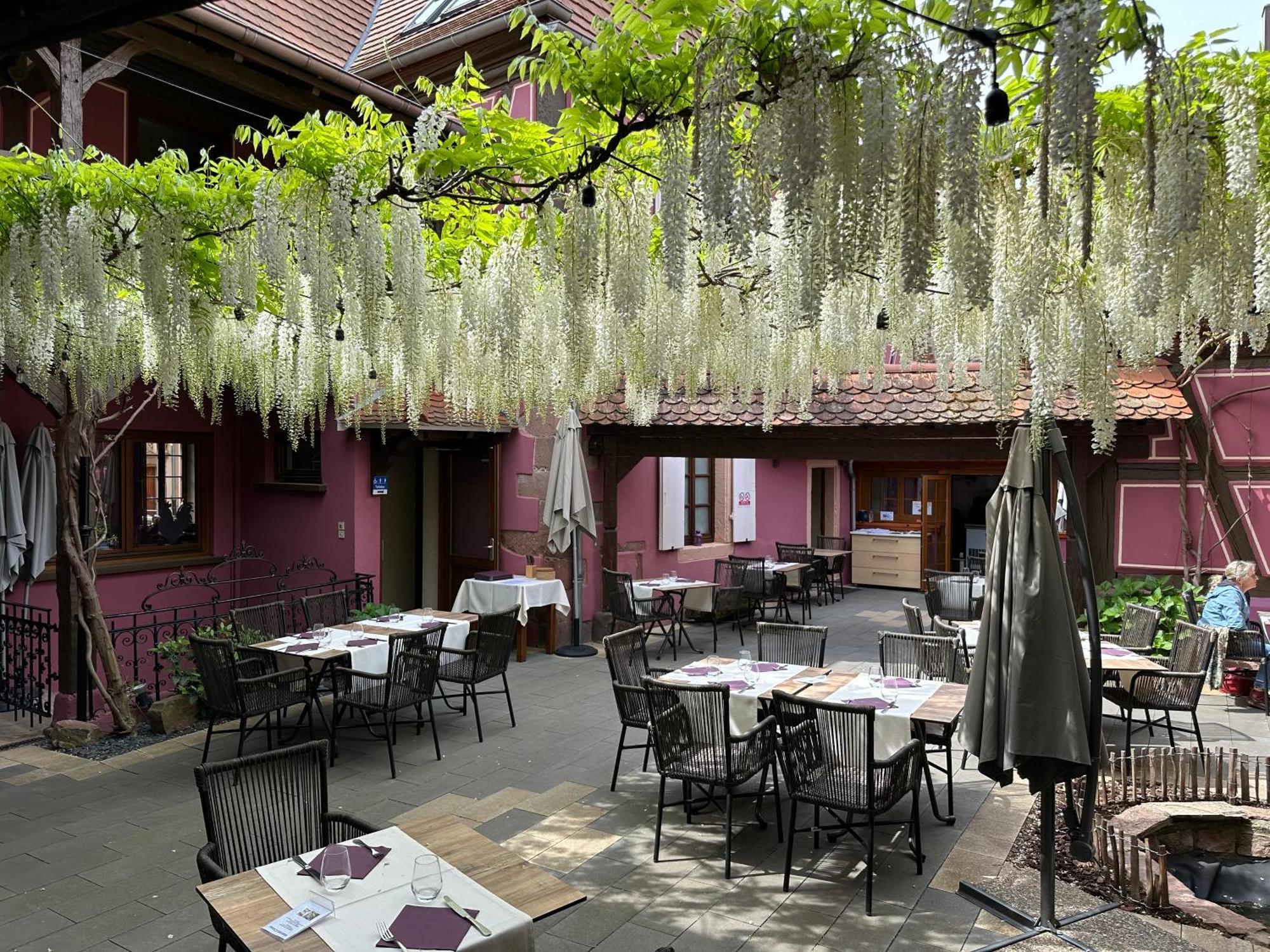 Auberge Le Meisenberg Châtenois Zewnętrze zdjęcie