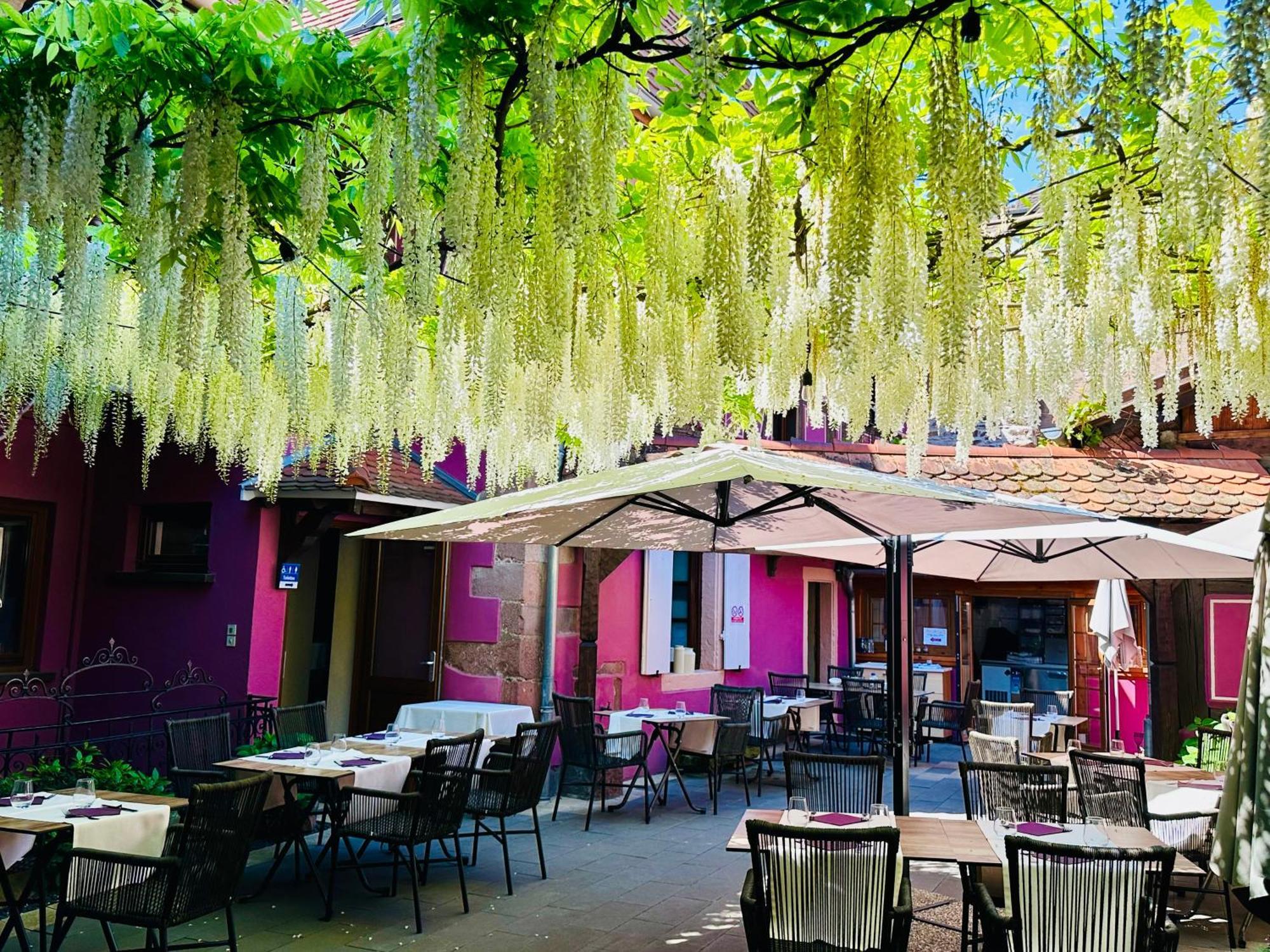 Auberge Le Meisenberg Châtenois Zewnętrze zdjęcie