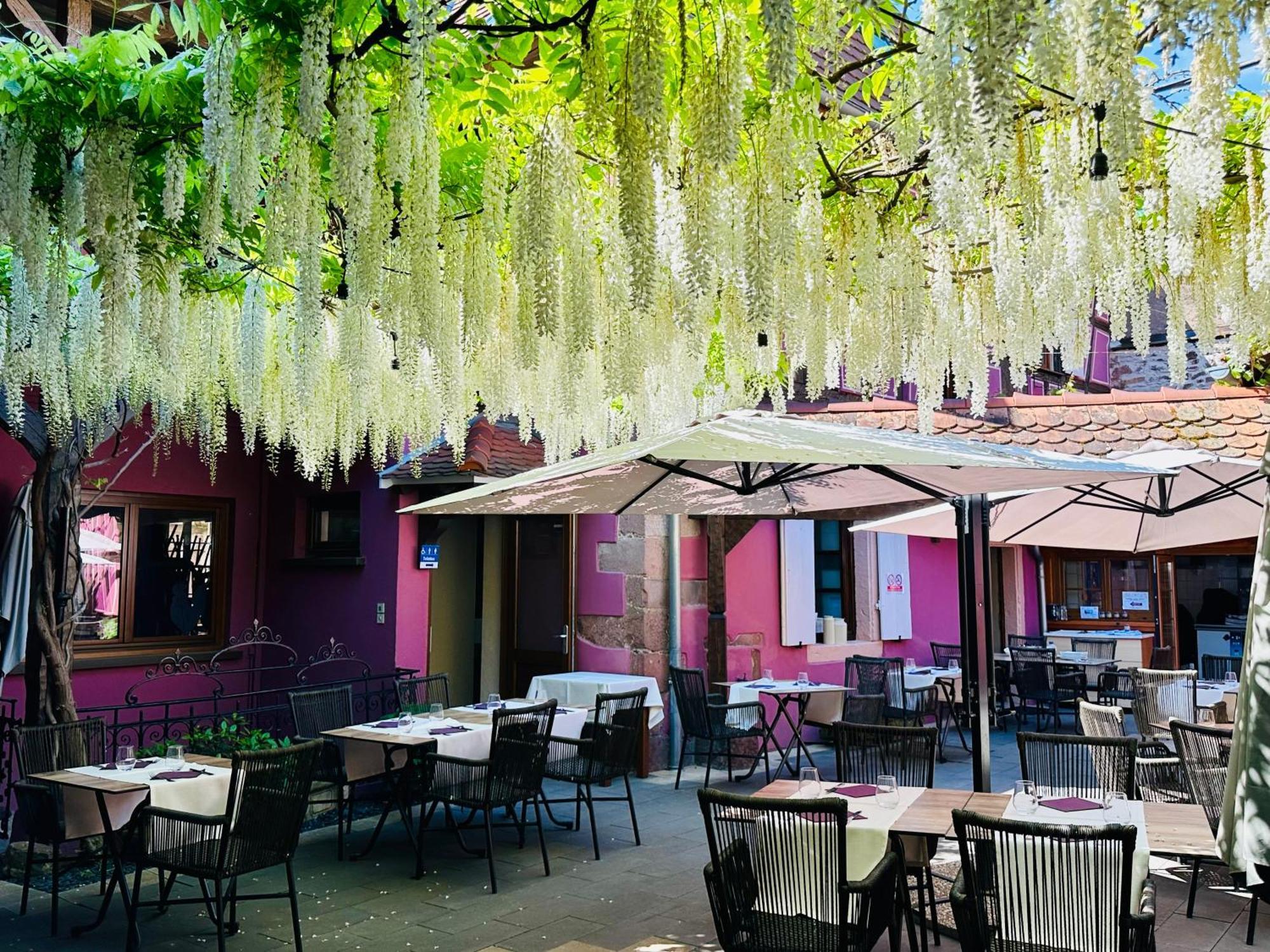 Auberge Le Meisenberg Châtenois Zewnętrze zdjęcie