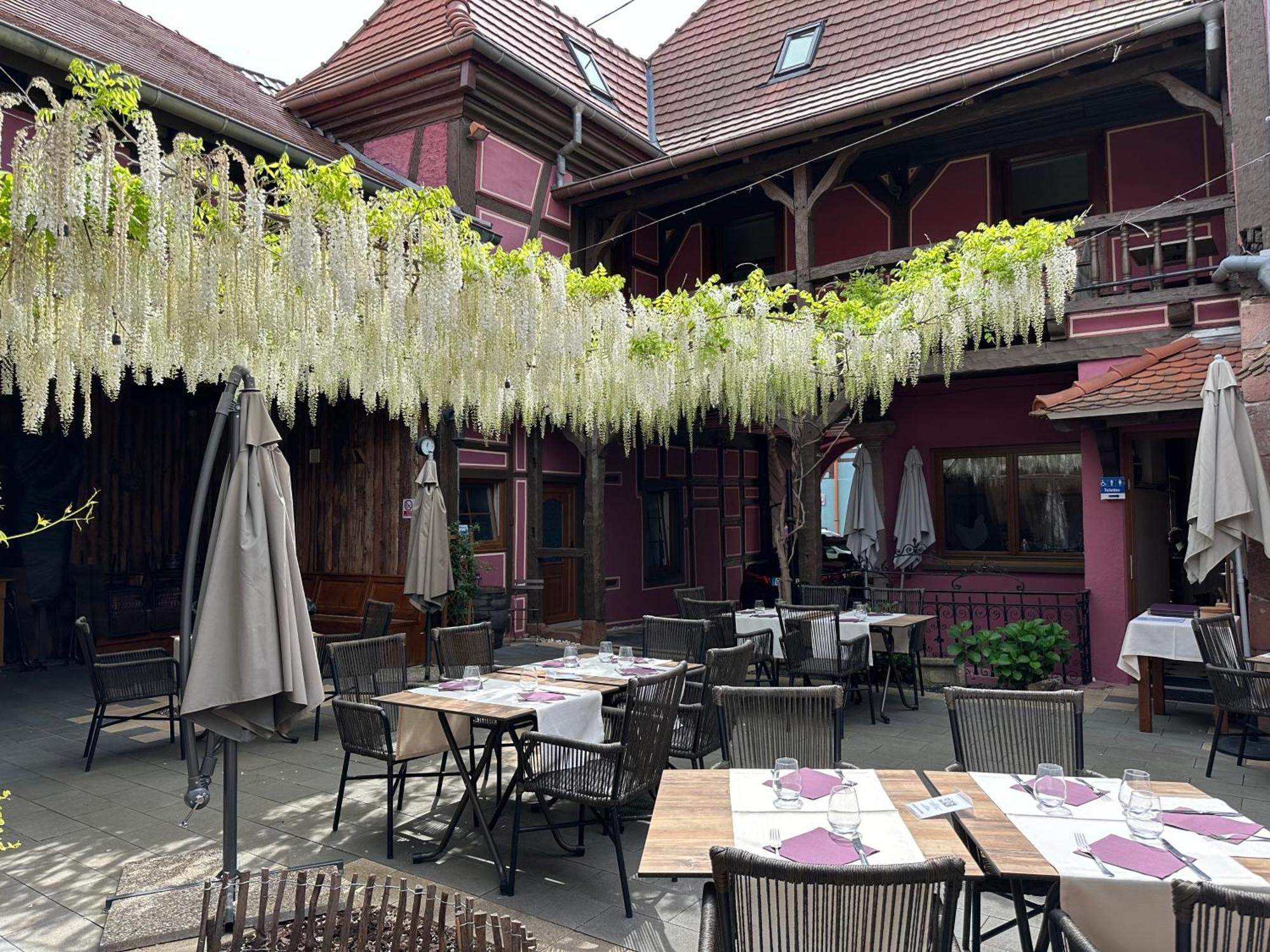 Auberge Le Meisenberg Châtenois Zewnętrze zdjęcie