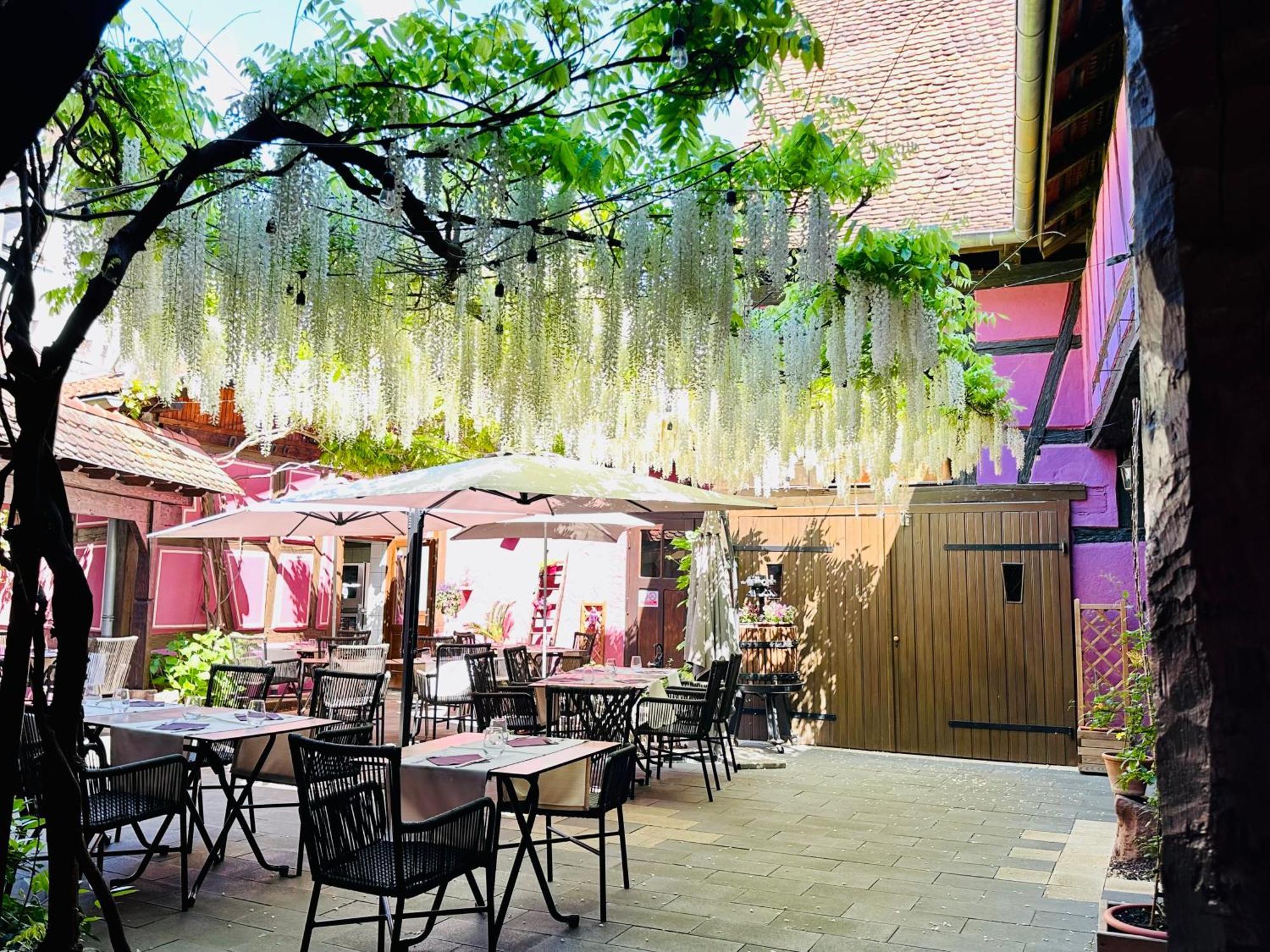 Auberge Le Meisenberg Châtenois Zewnętrze zdjęcie