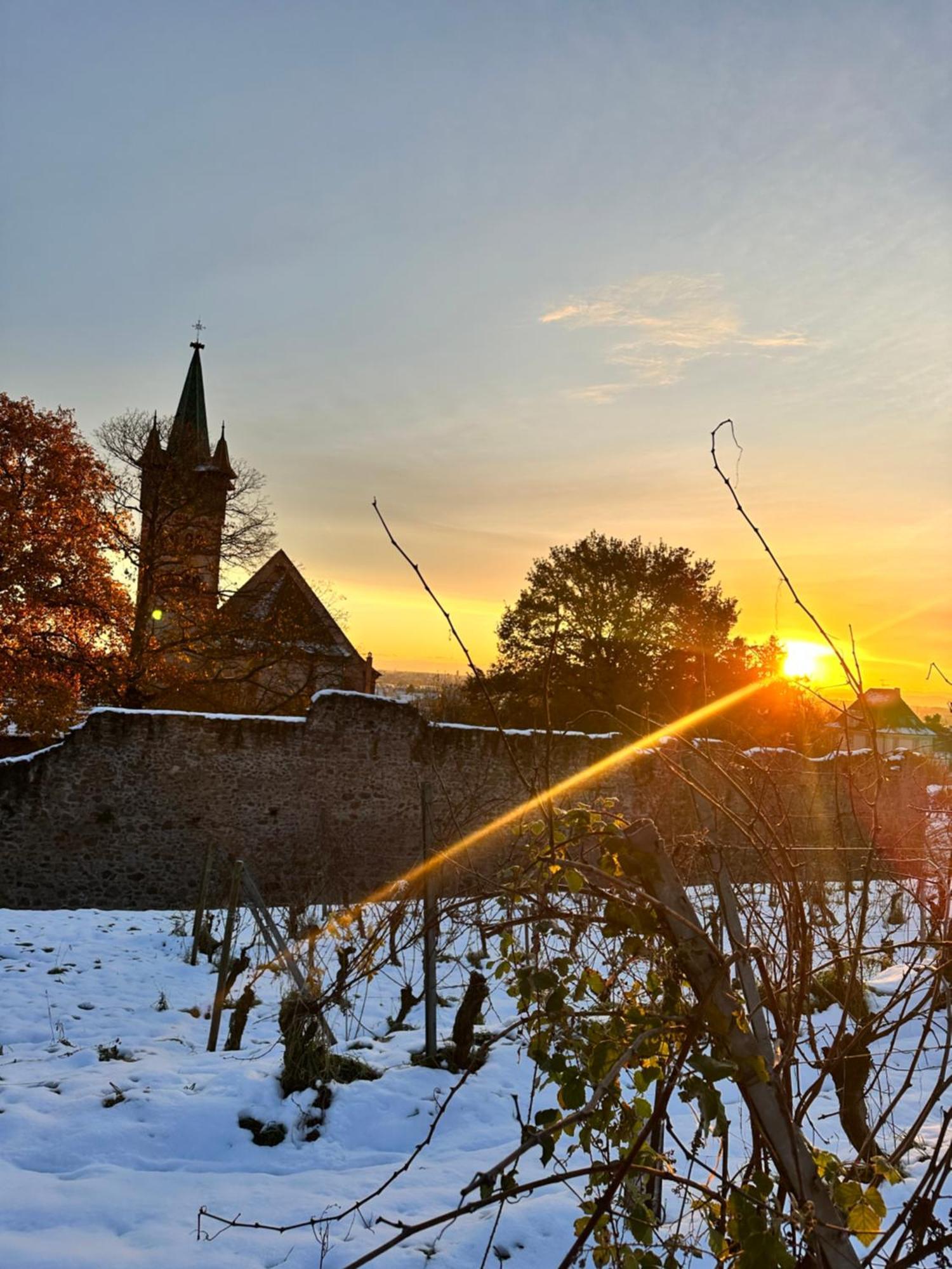 Auberge Le Meisenberg Châtenois Zewnętrze zdjęcie
