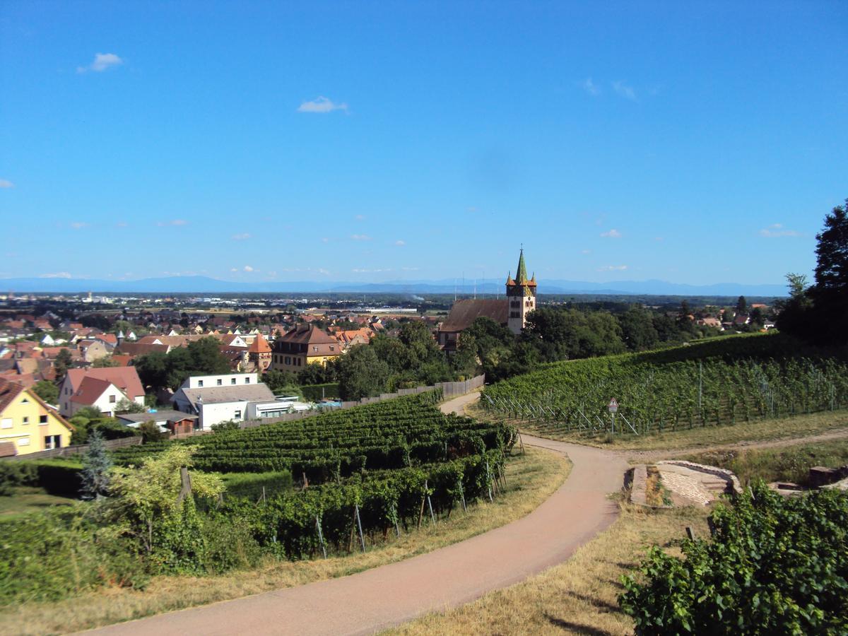 Auberge Le Meisenberg Châtenois Zewnętrze zdjęcie