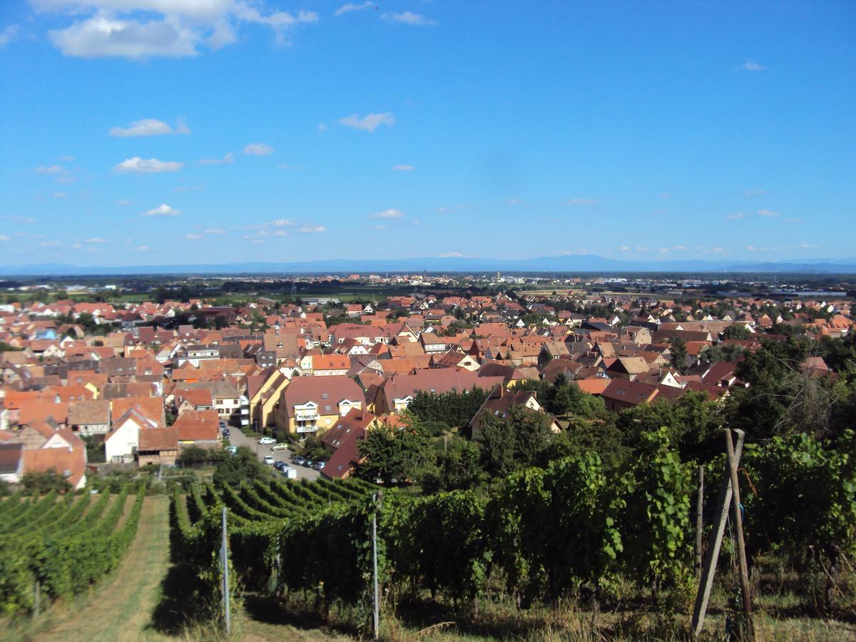 Auberge Le Meisenberg Châtenois Zewnętrze zdjęcie