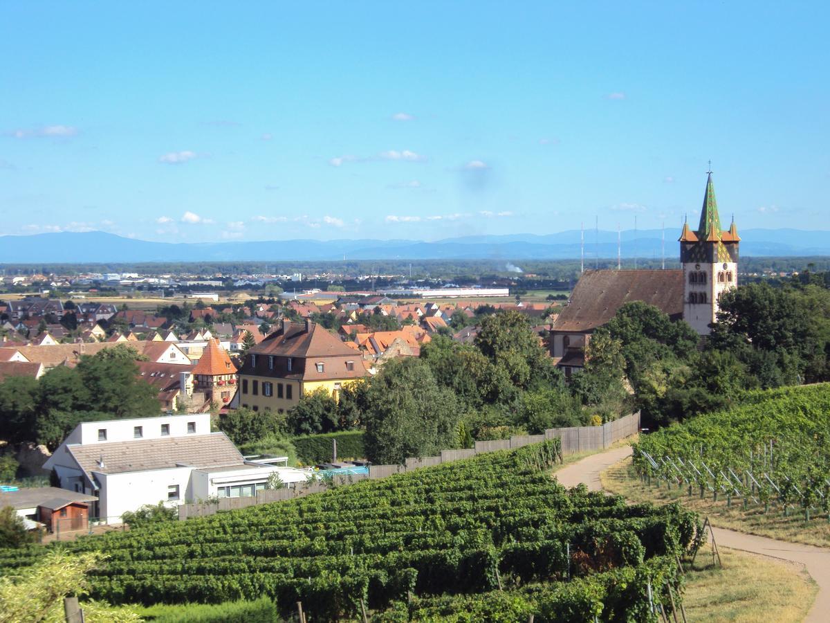 Auberge Le Meisenberg Châtenois Zewnętrze zdjęcie